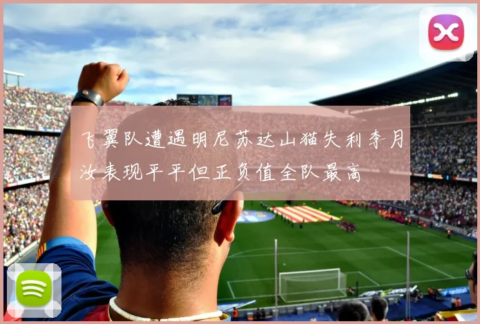 飞翼队遭遇明尼苏达山猫失利李月汝表现平平但正负值全队最高