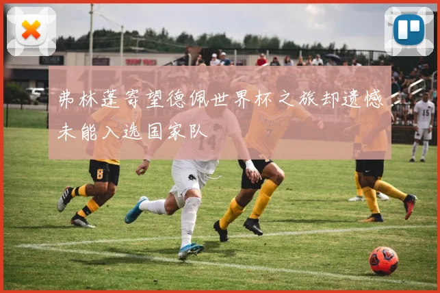 弗林蓬寄望德佩世界杯之旅却遗憾未能入选国家队