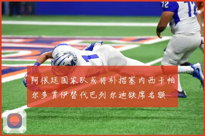 阿根廷国家队或将补招塞内西卡帕尔多贾伊替代巴列尔迪缺席名额